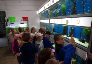 Dzieci pokazują kolory rybek
